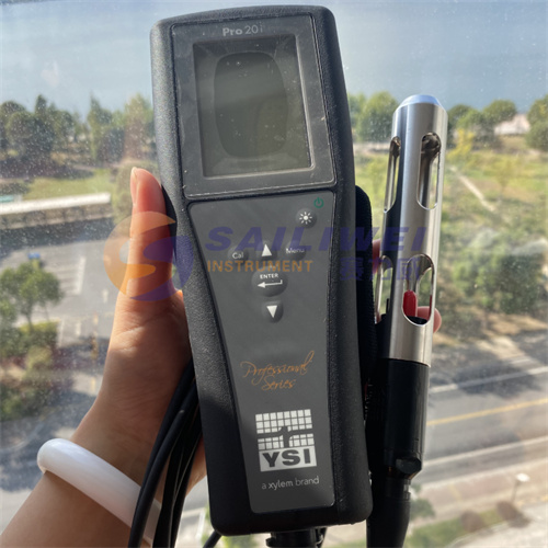 美国ysi pro20i 便携式溶解氧测定仪代理商