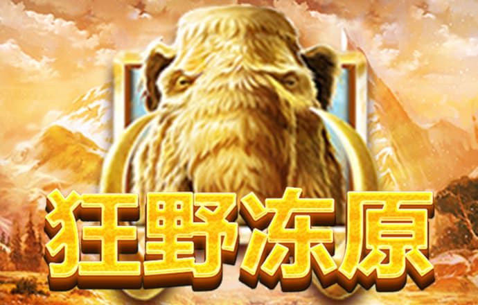 加拿大大小单双最准预测