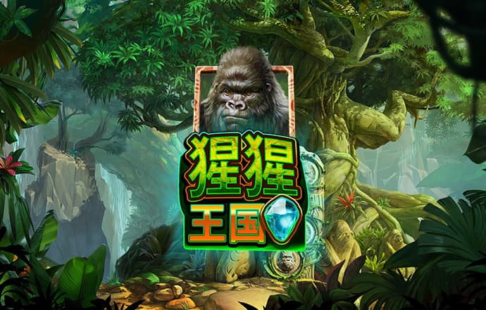 最新11选5彩票平台7.57.0.11 安卓版